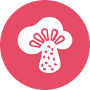 پیش‌نمایش فایل food-kitchen-vegetable-mushroom-fungus-helthy-fresh از پک غذا