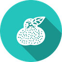 پیش‌نمایش فایل food-kitchen-fruit-guava-amrood-fresh-healthy-1 از پک غذا