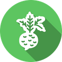 پیش‌نمایش فایل food-kitchen-vegetable-beet-root-radish-healthy-4 از پک غذا