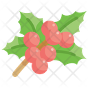 پیش‌نمایش فایل mistletoe-10312452 از پک صحت مند کرسمس