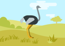 پیش‌نمایش فایل ostrich-3593829 از پک حیوانات وحشی