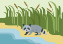 پیش‌نمایش فایل raccoon-3593812 از پک حیوانات وحشی