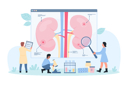 پیش‌نمایش فایل kidney-disease-11526847 از پک مراقبت های بهداشتی