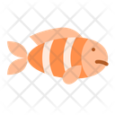 پیش‌نمایش فایل clown-fish-10543832 از پک حیوانات خانگی