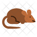پیش‌نمایش فایل mouse-10543843 از پک حیوانات خانگی