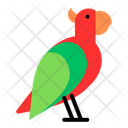 پیش‌نمایش فایل parrot-10543845 از پک حیوانات خانگی