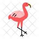پیش‌نمایش فایل flamingo-10707491 از پک حیوانات