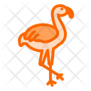 پیش‌نمایش فایل flamingo-10715785 از پک حیوانات