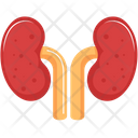 پیش‌نمایش فایل kidneys-1404836 از پک پزشکی