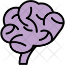 پیش‌نمایش فایل brain-1403402 از پک پزشکی
