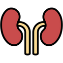 پیش‌نمایش فایل kidneys-1403393 از پک پزشکی