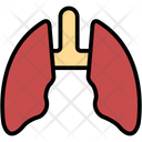 پیش‌نمایش فایل lungs-1403392 از پک پزشکی