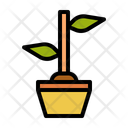 پیش‌نمایش فایل plant-1619003 از پک شنا