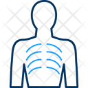 پیش‌نمایش فایل human-ribs-5709823 از پک پزشکی و هوسپیتالیتی