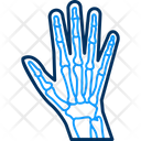 پیش‌نمایش فایل hand-xray-5709889 از پک پزشکی
