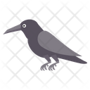 پیش‌نمایش فایل crow-6306409 از پک دکوراسیون خانه و مبلمان