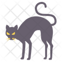 پیش‌نمایش فایل halloweeen-black-cat-6306418 از پک دکوراسیون خانه و مبلمان