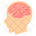 پیش‌نمایش فایل human-brain-6307410 از پک پزشکی