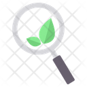 پیش‌نمایش فایل search-ecology-6308110 از پک سئو