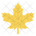 پیش‌نمایش فایل maple-leaf-6309861 از پک آب و هوا