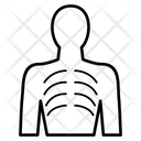 پیش‌نمایش فایل human-ribs-6893567 از پک پزشکی - مجموعه 1
