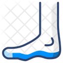پیش‌نمایش فایل foot-6891088 از پک پزشکی