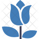 پیش‌نمایش فایل flower-7198548 از پک مجموعه متنوع