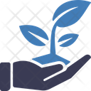 پیش‌نمایش فایل plant-7198332 از پک مجموعه متنوع