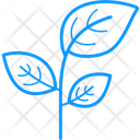 پیش‌نمایش فایل leaf-7969719 از پک اکولوژی