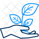 پیش‌نمایش فایل plant-7969722 از پک اکولوژی