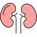 پیش‌نمایش فایل kidneys-9151931 از پک پزشکی