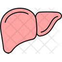 پیش‌نمایش فایل liver-9151934 از پک پزشکی