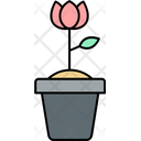 پیش‌نمایش فایل flower-pot-9160977 از پک مبلمان