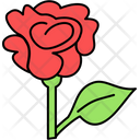 پیش‌نمایش فایل rose-9161072 از پک جشن