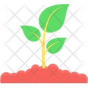 پیش‌نمایش فایل plant-9440889 از پک بوم‌شناسی و محیط زیست
