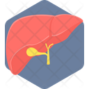 پیش‌نمایش فایل liver-9383858 از پک پزشکی