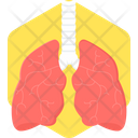 پیش‌نمایش فایل lungs-9383859 از پک پزشکی