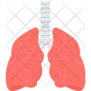 پیش‌نمایش فایل lungs-9463662 از پک پزشکی