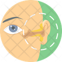 پیش‌نمایش فایل ear-treatment-9574186 از پک پزشکی