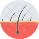 پیش‌نمایش فایل hair-transplant-9574194 از پک پزشکی