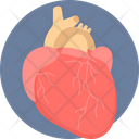 پیش‌نمایش فایل heart-9574199 از پک پزشکی