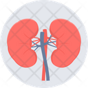 پیش‌نمایش فایل kidneys-9574204 از پک پزشکی
