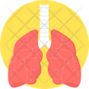 پیش‌نمایش فایل lungs-9574207 از پک پزشکی