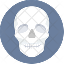 پیش‌نمایش فایل skull-9574234 از پک پزشکی