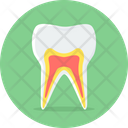 پیش‌نمایش فایل teeth-9574145 از پک پزشکی