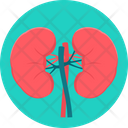پیش‌نمایش فایل kidneys-9575071 از پک پزشکی