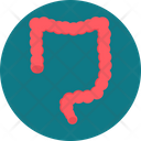 پیش‌نمایش فایل large-intestine-9575073 از پک پزشکی