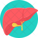 پیش‌نمایش فایل liver-9575074 از پک پزشکی