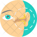 پیش‌نمایش فایل ophthalmologist-9575093 از پک پزشکی