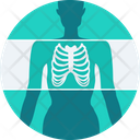 پیش‌نمایش فایل ribs-x-ray-9575100 از پک پزشکی